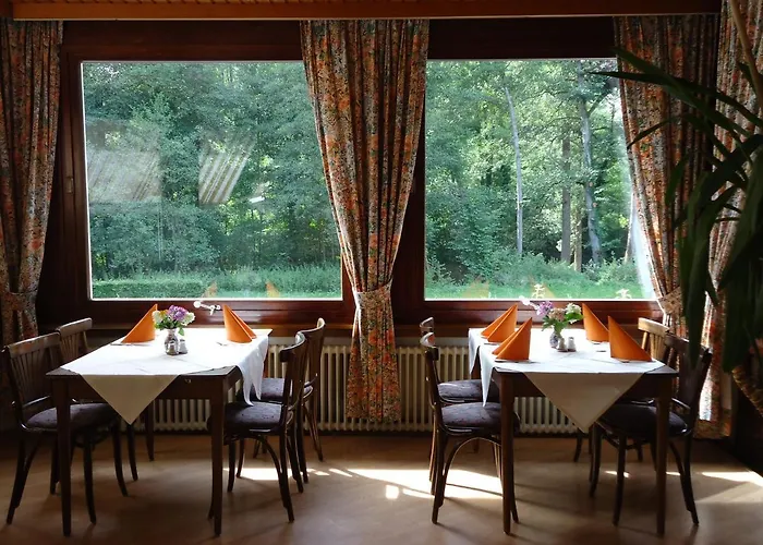 Hotel De La Vallee *